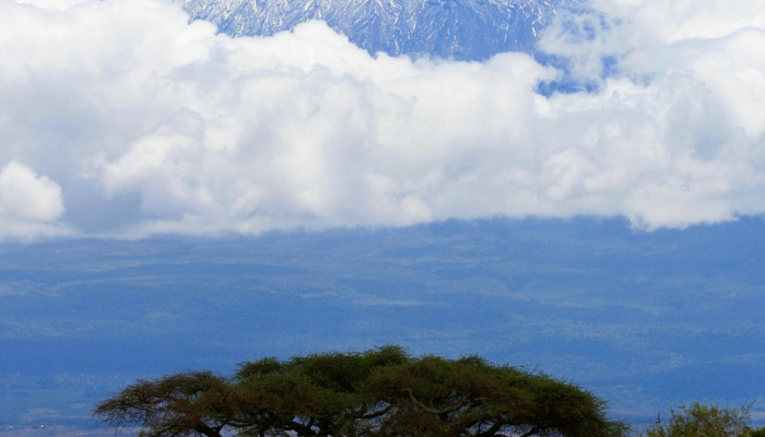 成都西安疫情最新：你需要了解的每日动态